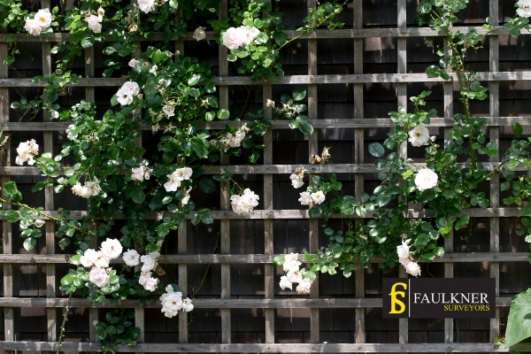 Can I put trellis on my Neighbours garage wall? 2 Do you want to adapt your neighbours garage door and add a trellis Ruislip? Talk to Faulkner Surveyor Ruislip